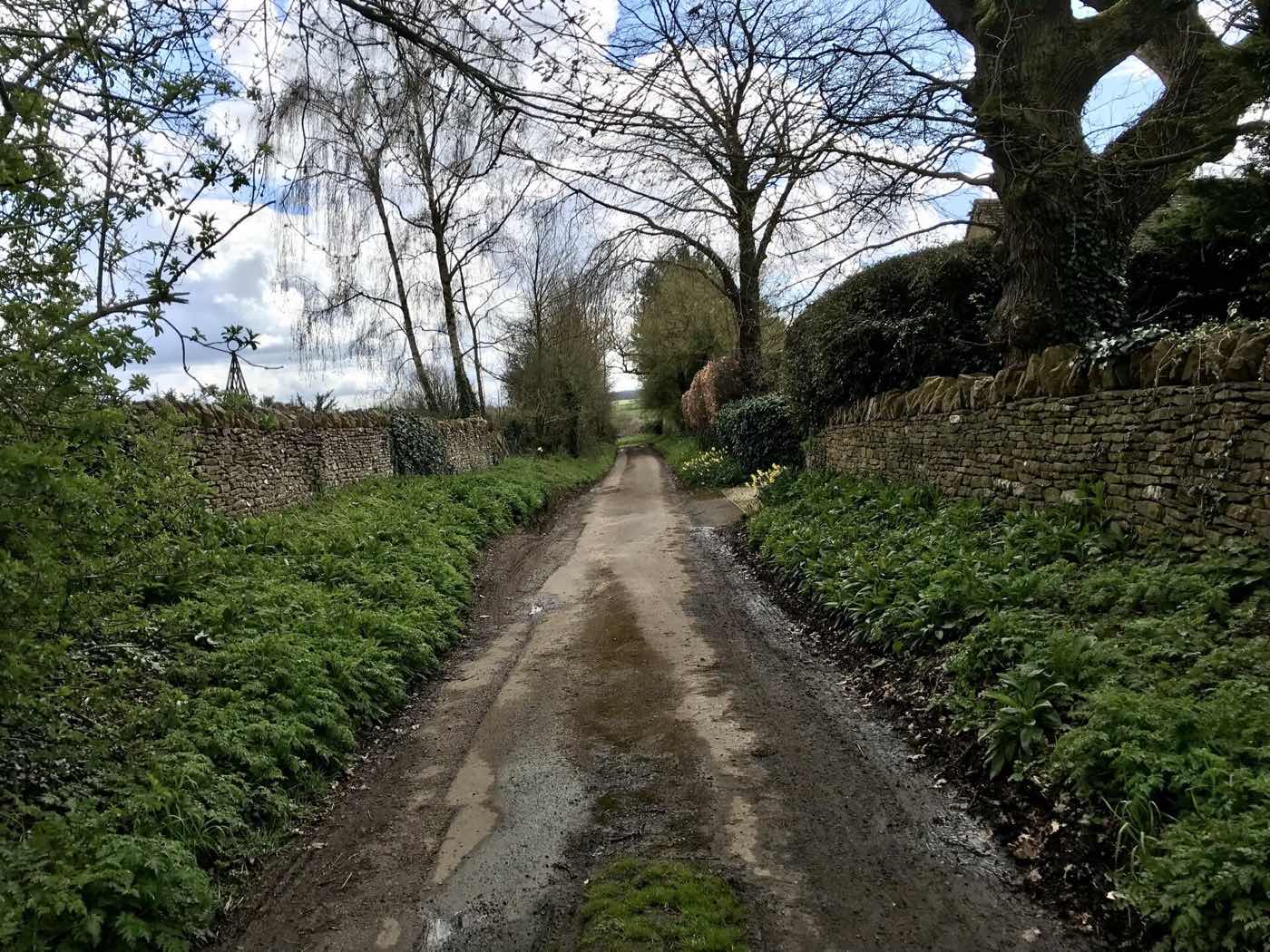 A narrow single-track lane between low stone walls and hedges, with no verge and no lighting, at Church Enstone